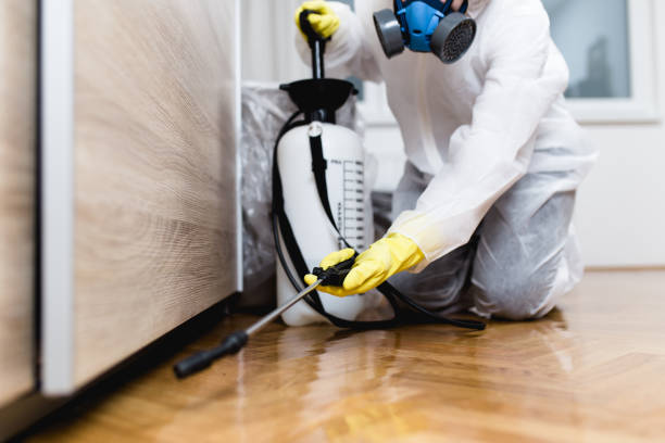Best Affordable Pest Control Services  in Donald, OR
