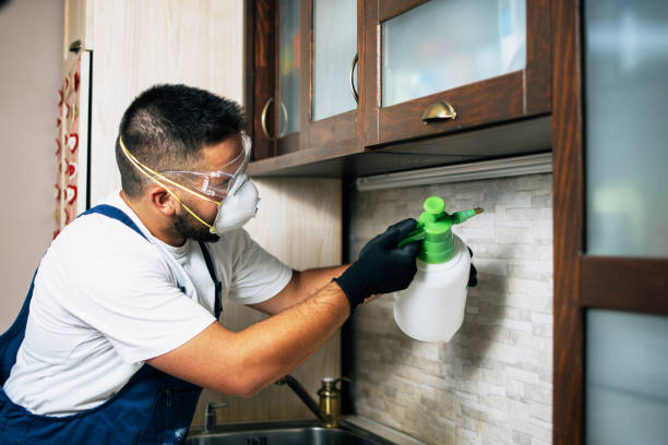  Donald, OR Pest Control Pros