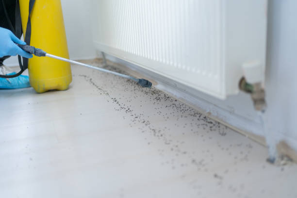 Best Pest Control for Restaurants  in Donald, OR