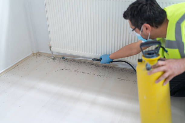 Best Best Pest Control Companies  in Donald, OR